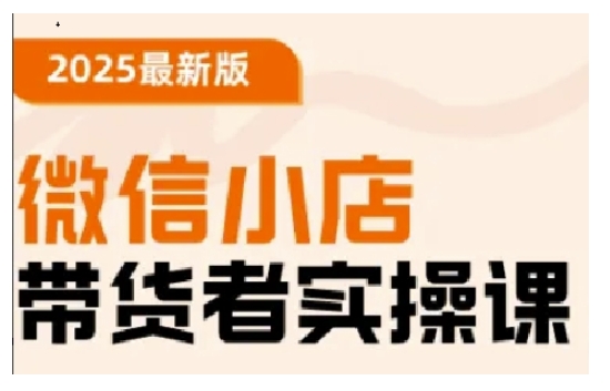 2025最新版微信小店带货者实操课，基础操作到高级运营技巧，快速上手-蚂蚁汇资源分享项目网