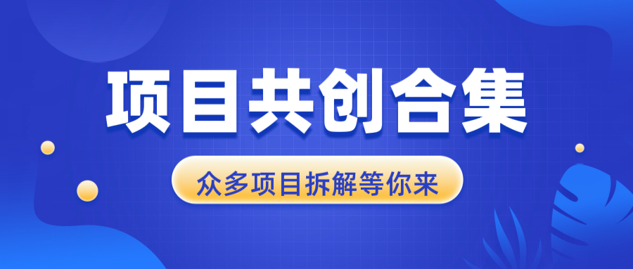 项目共创合集，从0-1全过程拆解，让你迅速找到适合自已的项目-蚂蚁汇资源分享项目网