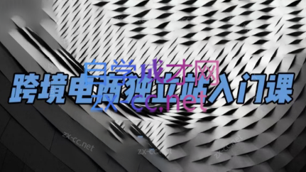团长·跨境电商独立站入门课(2小时精华)-蚂蚁汇资源分享项目网