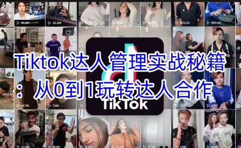 Tiktok达人管理实战秘籍：从0到1玩转达人合作-蚂蚁汇资源分享项目网