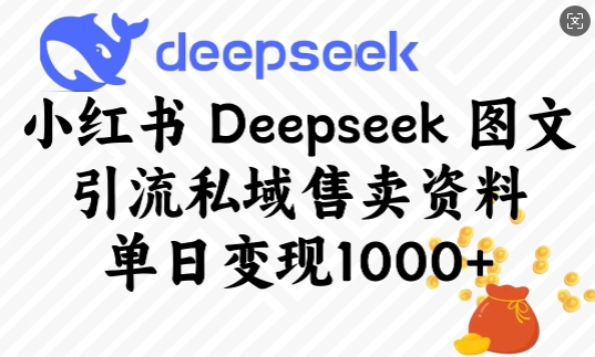 小红书Deepseek图文引流私域售卖资料，单日变现多张-蚂蚁汇资源分享项目网