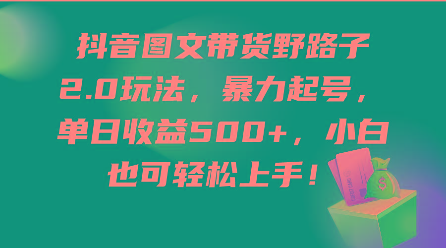 (9790期)抖音图文带货野路子2.0玩法，暴力起号，单日收益500+，小白也可轻松上手！-蚂蚁汇资源分享项目网