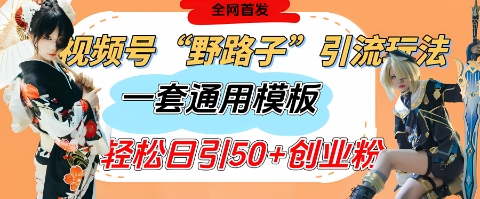 视频号“野路子”玩法，评论区疯狂截流，一套模板单日单号引流50+创业粉-蚂蚁汇资源分享项目网