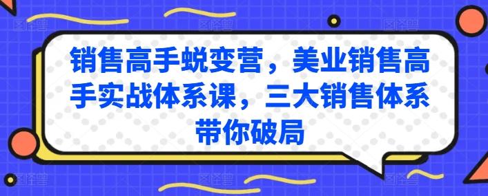 销售高手蜕变营，美业销售高手实战体系课，三大销售体系带你破局-蚂蚁汇资源分享项目网
