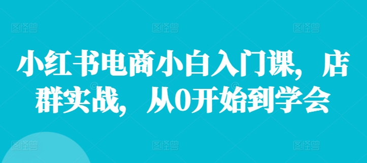 小红书电商小白入门课，店群实战，从0开始到学会-蚂蚁汇资源分享项目网