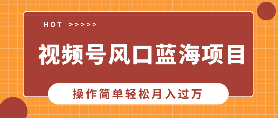 视频号风口蓝海项目，中老年人的流量密码，操作简单轻松月入过万-蚂蚁汇资源分享项目网