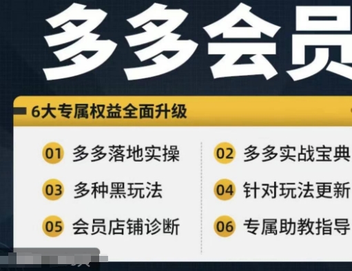 拼多多会员，拼多多实战宝典+实战落地实操，从新手到高阶内容全面覆盖-蚂蚁汇资源分享项目网