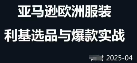 跨境电商选品案例24-25年，聚焦跨境电商选品策略与运营优化，助力卖家挖掘蓝海市场-蚂蚁汇资源分享项目网