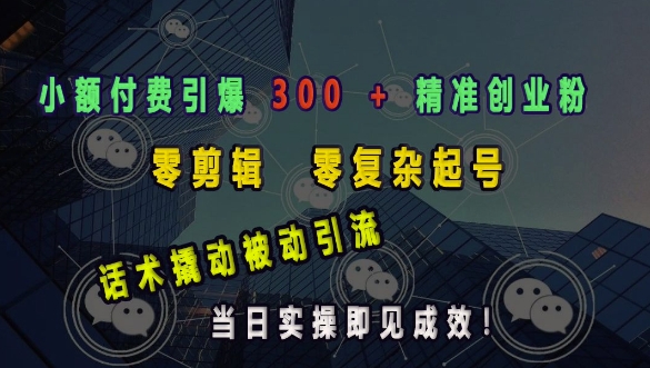 小额付费引爆 300 + 精准创业粉，零剪辑、零复杂起号，话术撬动被动引流，当日实操即见成效-蚂蚁汇资源分享项目网
