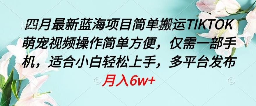 四月最新蓝海项目，简单搬运TIKTOK萌宠视频，操作简单方便，仅需一部手机【揭秘】-蚂蚁汇资源分享项目网