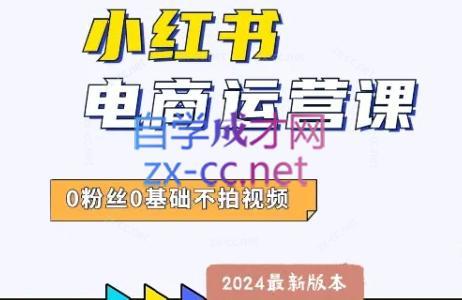 达哥·小红书电商运营(2024版)-蚂蚁汇资源分享项目网