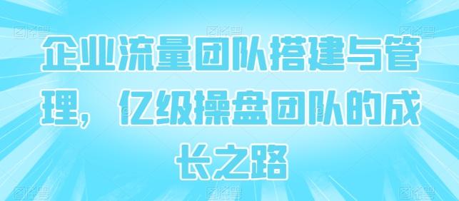 企业流量团队搭建与管理,亿级操盘团队的成长之路