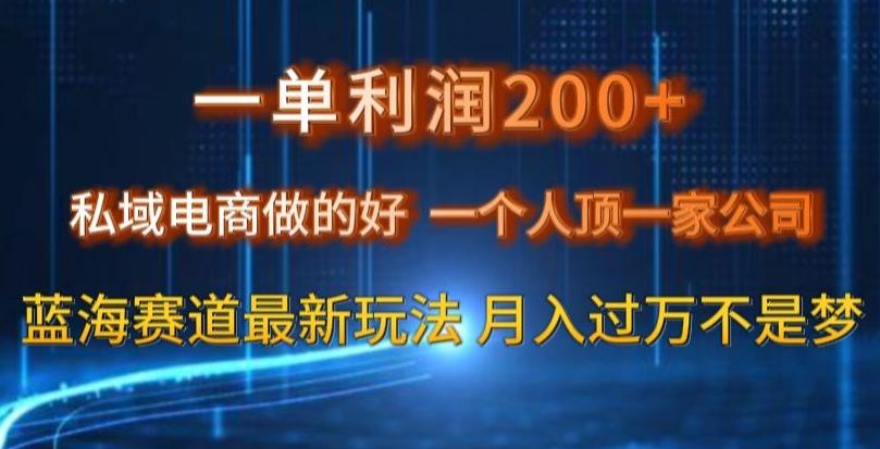 一单利润200私域电商做的好，一个人顶一家公司蓝海赛道最新玩法【揭秘】-蚂蚁汇资源分享项目网