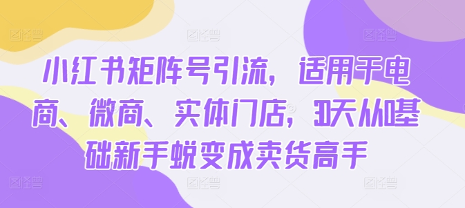小红书矩阵号引流，适用于电商、微商、实体门店，30天从0基础新手蜕变成卖货高手-蚂蚁汇资源分享项目网