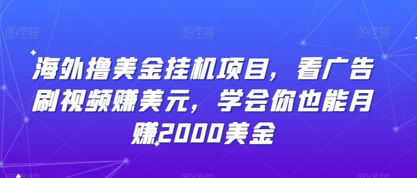 海外撸美金挂机项目，看广告刷视频赚美元，学会你也能月赚2000美金-蚂蚁汇资源分享项目网