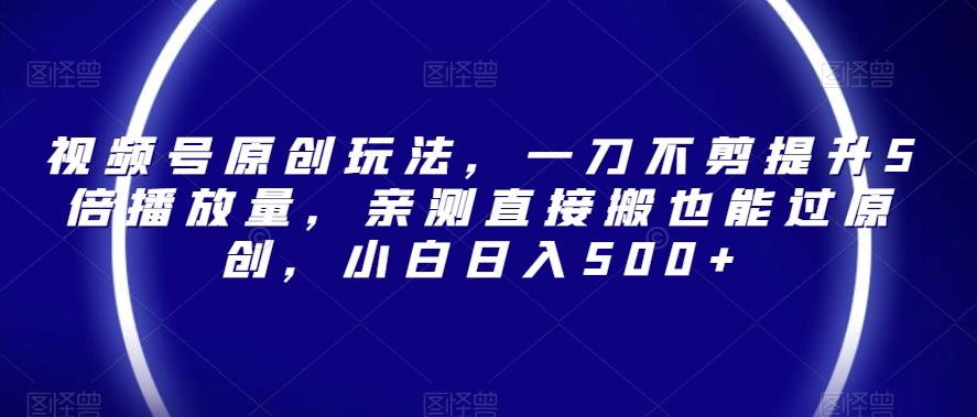 视频号原创玩法，一刀不剪提升5倍播放量，亲测直接搬也能过原创，小白日入500+【揭秘】-蚂蚁汇资源分享项目网