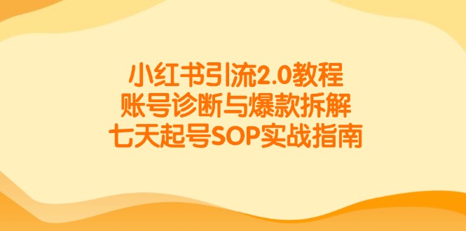 小红书引流2.0教程,账号诊断与爆款拆解,七天起号SOP实战指南-蚂蚁汇资源分享项目网