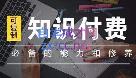 君哥·IP合伙人知识付费虚拟项目(更新24年6月)-蚂蚁汇资源分享项目网