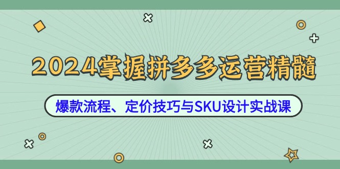 2024掌握拼多多运营精髓：爆款流程、定价技巧与SKU设计实战课-蚂蚁汇资源分享项目网