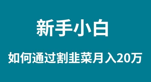 (9308期)新手小白如何通过割韭菜月入 20W-蚂蚁汇资源分享项目网