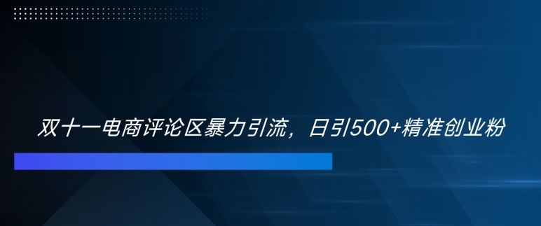双十一电商评论区暴力引流，日引500+精准创业粉【揭秘】-蚂蚁汇资源分享项目网