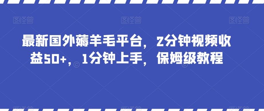 最新国外薅羊毛平台，2分钟视频收益50+，1分钟上手，保姆级教程【揭秘】-蚂蚁汇资源分享项目网