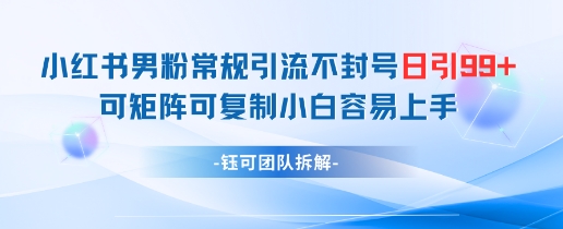 小红书男粉常规引流不封号日引99+变现简单 可矩阵可复制小白容易上手-蚂蚁汇资源分享项目网