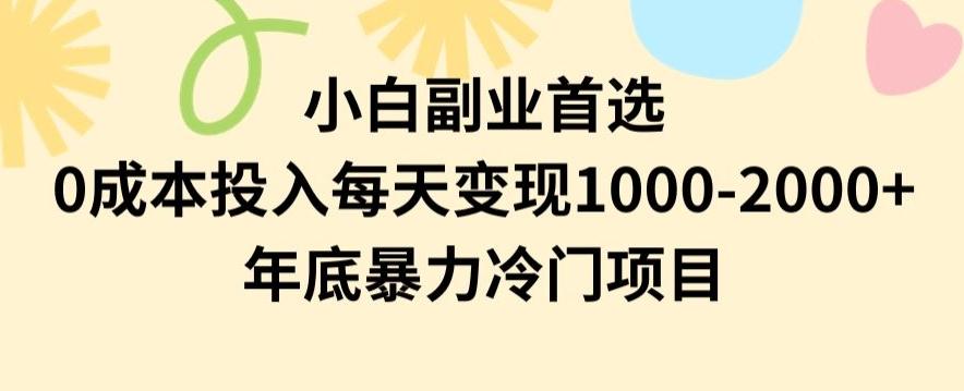 小白副业首选，0成本投入，每天变现1000-2000年底暴力冷门项目【揭秘】-蚂蚁汇资源分享项目网