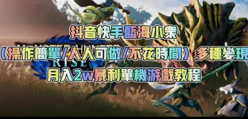 抖音快手蓝海小众（操作简单人人可做不花时间）多种变现月入2w＋暴利单机游戏教程-蚂蚁汇资源分享项目网