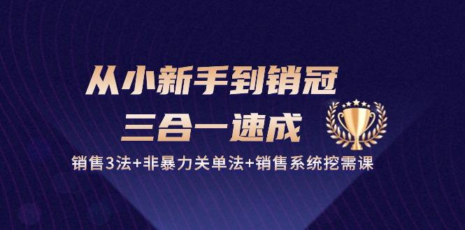 从小新手到销冠 三合一速成：销售3法+非暴力关单法+销售系统挖需课 (27节-蚂蚁汇资源分享项目网