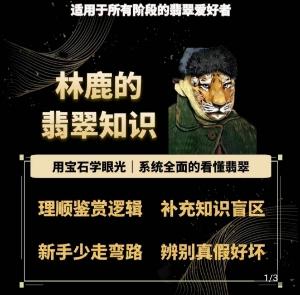 林鹿的翡翠知识，​用宝石眼光，系统全面的看懂翡翠-蚂蚁汇资源分享项目网