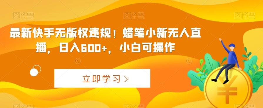 最新快手无版权违规！蜡笔小新无人直播，日入600+，小白可操作【揭秘】-蚂蚁汇资源分享项目网