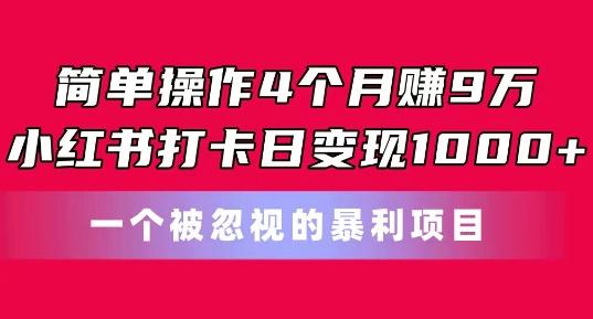 简单操作4个月赚9w，小红书打卡日变现1k，一个被忽视的暴力项目【揭秘】-蚂蚁汇资源分享项目网