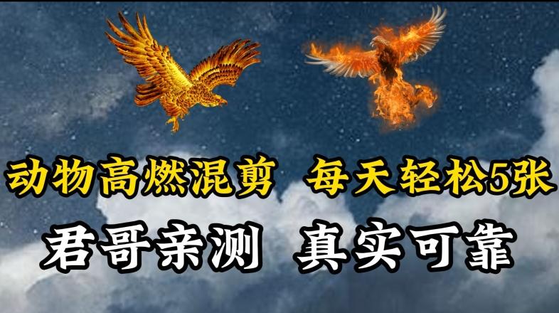 动物超燃混剪，每天轻松5张，剪辑简单大家爱看【揭秘】-蚂蚁汇资源分享项目网