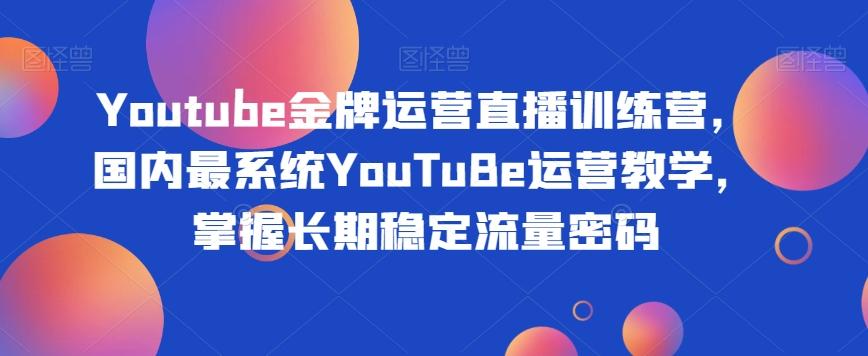 Youtube金牌运营直播训练营，国内最系统YouTuBe运营教学，掌握长期稳定流量密码-蚂蚁汇资源分享项目网