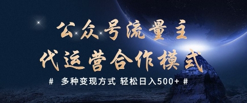 公众号流量主代运营  多种变现方式 轻松日入5张【揭秘】-蚂蚁汇资源分享项目网