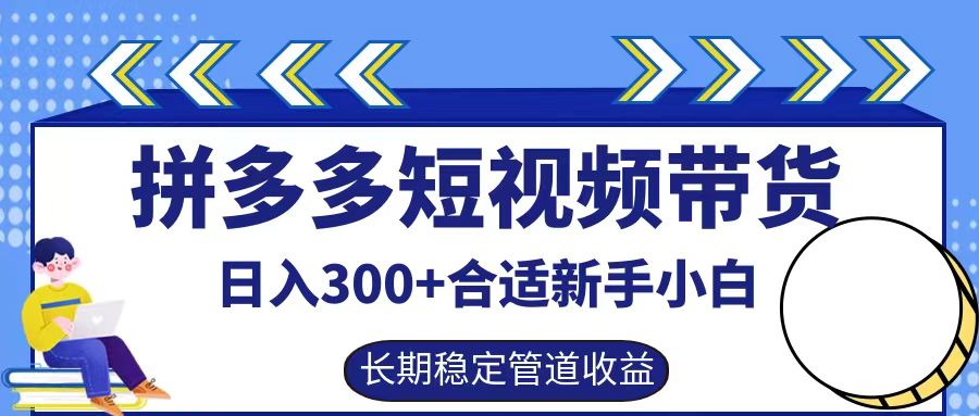 拼多多短视频带货日入300+，实操账户展示看就能学会-蚂蚁汇资源分享项目网