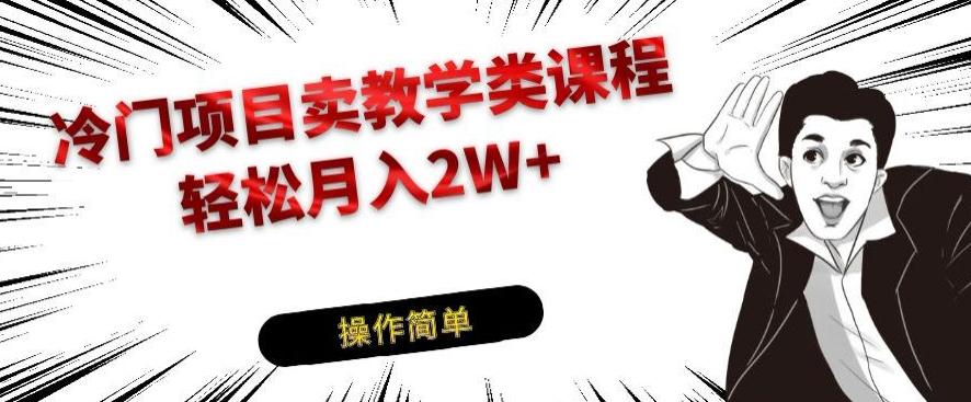 冷门项目卖教学类课程，轻松月入2W+-蚂蚁汇资源分享项目网