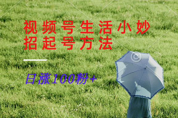 视频号生活小妙招分享赛道， 起号涨粉新方法，日涨100粉-蚂蚁汇资源分享项目网
