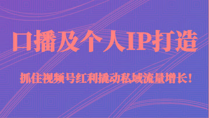 口播及个人IP打造，抓住视频号红利撬动私域流量增长！（45节课）-蚂蚁汇资源分享项目网