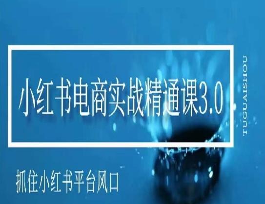 小红书电商实战精通课3.0，抓住小红书平台的风口，不错过有一个赚钱的机会-蚂蚁汇资源分享项目网