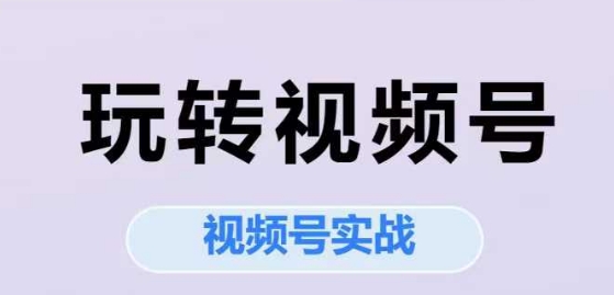 玩转视频号，视频号实战系列课-蚂蚁汇资源分享项目网