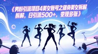 男粉引流项目4美女账号之健身美女拆解，日引流500+，变现多张-蚂蚁汇资源分享项目网