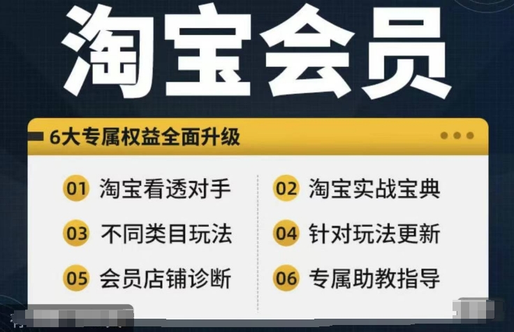 淘宝会员【淘宝所有课程，全面分析对手】，初级到高手全系实战宝典-蚂蚁汇资源分享项目网