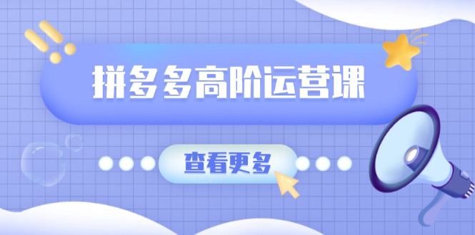 拼多多高阶运营课：极致群爆款玩法，轻付费无尽复制，打造单品爆款之路-蚂蚁汇资源分享项目网