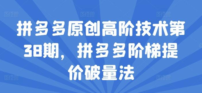 拼多多原创高阶技术第38期，拼多多阶梯提价破量法-蚂蚁汇资源分享项目网
