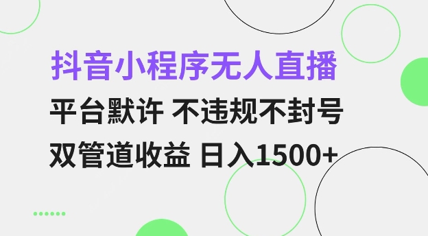 抖音小程序无人直播 平台默许 不违规不封号 双管道收益 日入多张 小白也能轻松操作【仅揭秘】-蚂蚁汇资源分享项目网