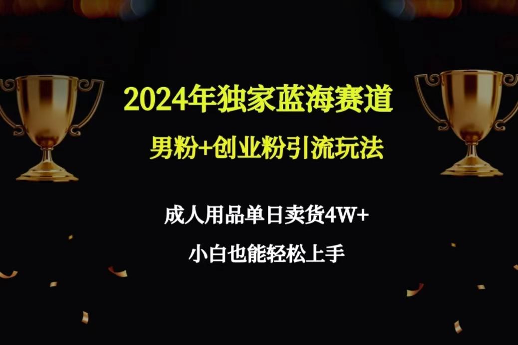2024年独家蓝海赛道男粉+创业粉引流玩法，成人用品单日卖货4W+保姆教程-蚂蚁汇资源分享项目网