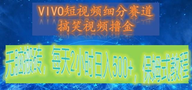 VIVO短视频细分赛道，搞笑视频撸金，无脑搬砖，每天2小时日入500+，保姆式教程-蚂蚁汇资源分享项目网