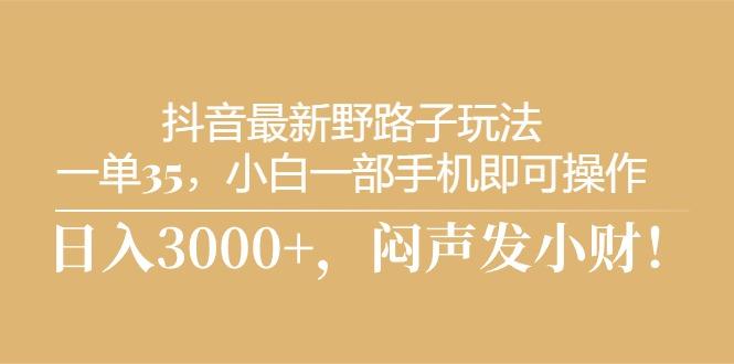 抖音最新野路子玩法，一单35，小白一部手机即可操作，，日入3000+，闷…-蚂蚁汇资源分享项目网